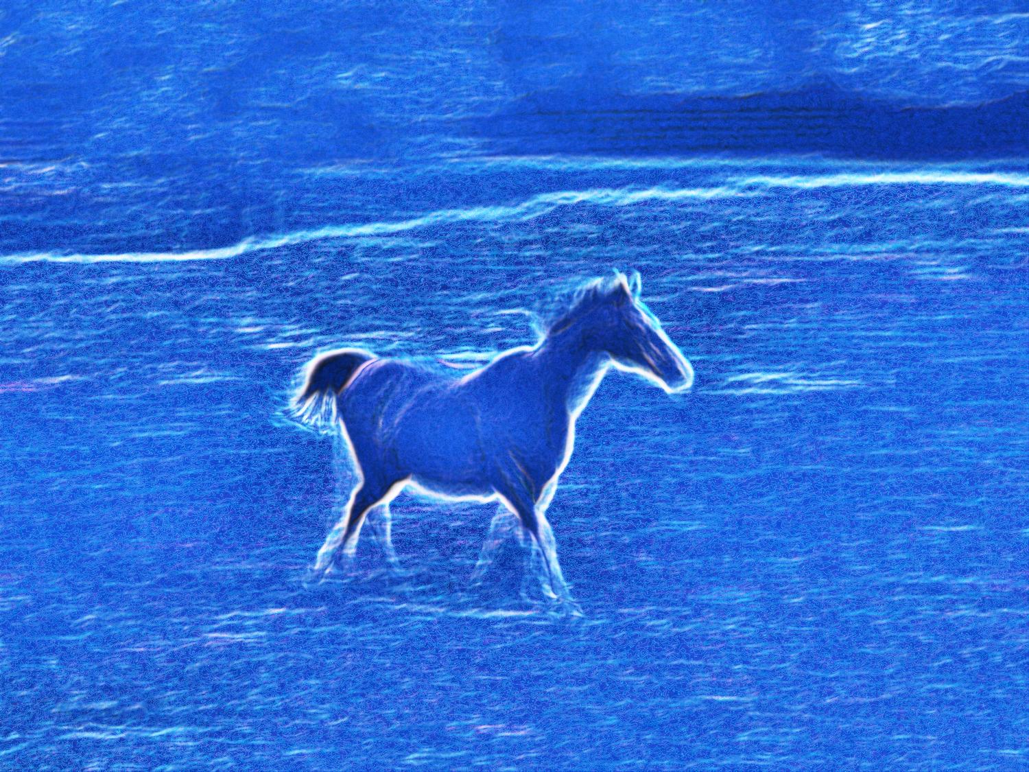  - Blue horse - Techno-Impressionist Museum - Techno-Impressionism - art - beautiful - photo photography picture - by Tony Karp