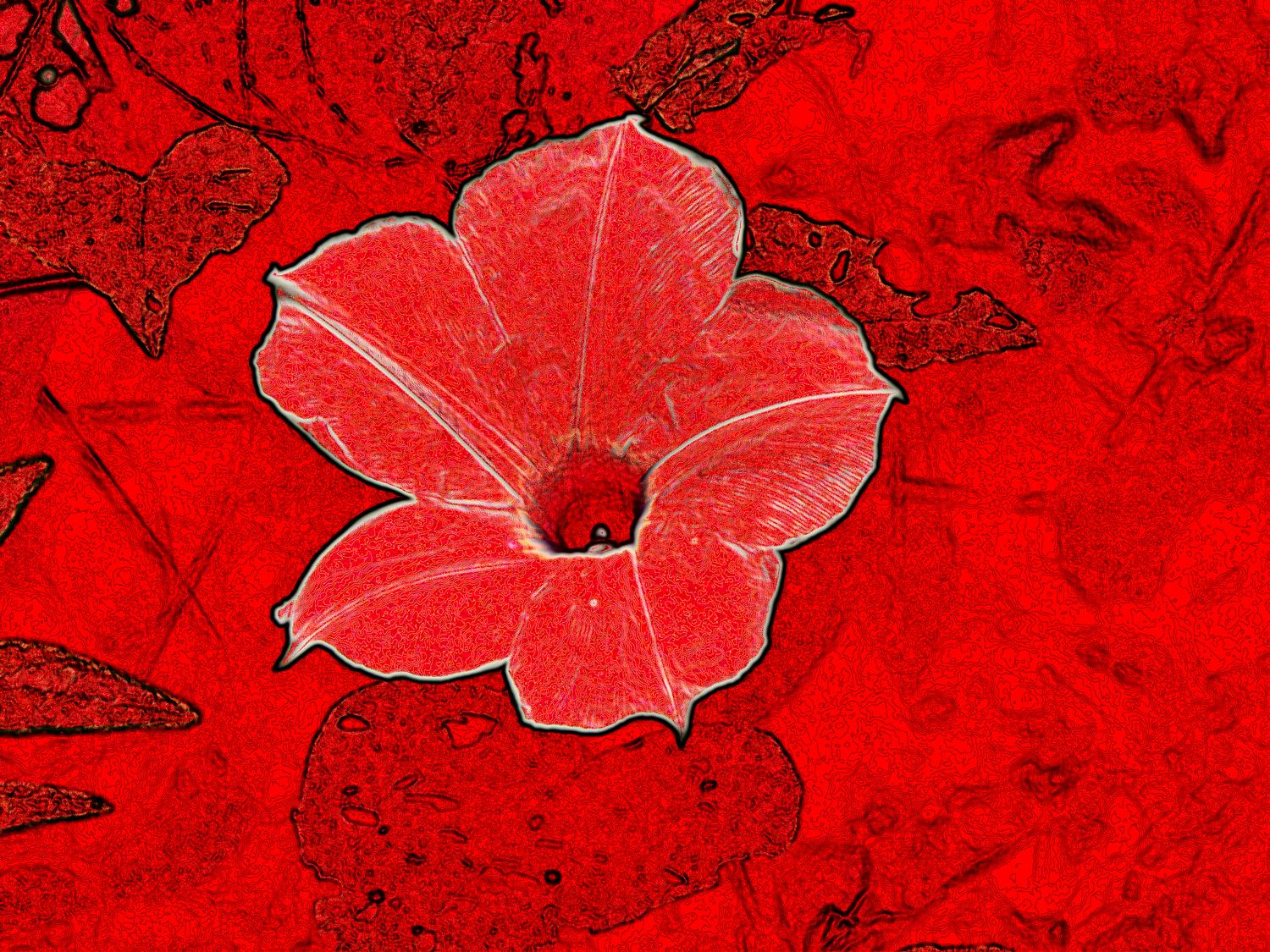  - Flower rendered on red paper - Techno-Impressionist Museum - Techno-Impressionism - art - beautiful - photo photography picture - by Tony Karp